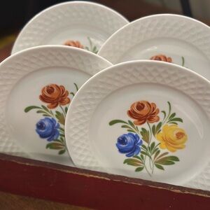 Set of 4 Schirnding Bavaria Hand Painted Floral Porcelain Plates